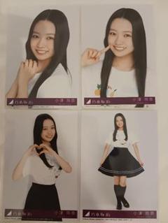 乃木坂46 Same numbers封入 生写真ヨリチュウヒキ4種4枚 小津玲奈