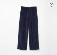 THE SHISHIKUI シシクイPainter C / CORDUROY32 - メルカリ