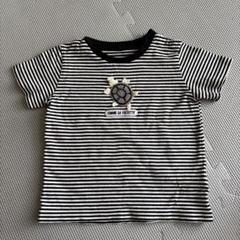 コムサフォセット　ストライプの亀刺繍Tシャツ