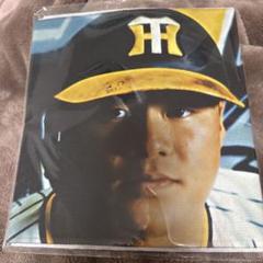 中野拓夢 シークレットビジョンファブリックスローガン 2024 2025年最新】タイガースビジョンタオルの人気アイテム - メルカリ