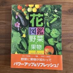 花図鑑野菜+果物