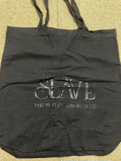 最終価格LUNA SEA SLAVEモノグラムトートバッグ