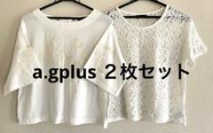 a.gplus エージープラス　総刺繍柄、刺繍入り半袖２枚セット