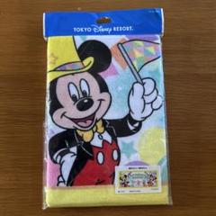 フェイスタオル　ハピエストバースデー　ディズニーリゾート　Disney