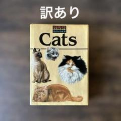 ［訳あり］　 洋書　猫図鑑