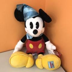 【貴重】ディズニーワールド ハイスクールミュージカル ミッキー ぬいぐるみ ハイスクールミュージカル ぬいぐるみ