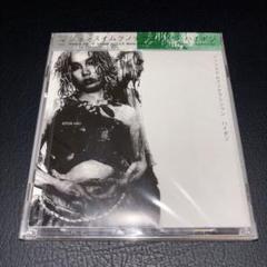 (新品未開封)ハイポジ/ジュンスイムクノテクニシャン 廃盤 プロモ サンプル盤