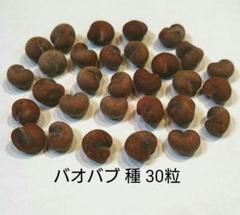 バオバブの中古 未使用品 メルカリ バオバブの中古 未使用品 メルカリ