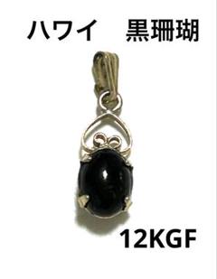 【未使用品】MAUI DIVERS 0F HAWAII黒珊瑚ペンダントトップ 2025年最新】黒珊瑚 ハワイの人気アイテム - メルカリ