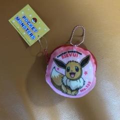 ポケモン　イーブイ