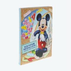 ディズニー　スーベニアメダルブック