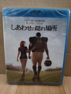 しあわせの隠れ場所('09米)
