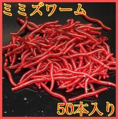 餌 ミミズの中古 未使用品 メルカリ