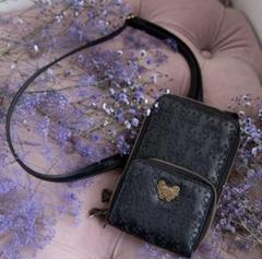 アナスイミニ ショルダーバッグ 黒 ANNA SUI ヴォヤージュ 2wayミニショルダー ブラック -人気