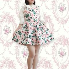 ロココ♡薔薇 ヴィンテージ ジャンスカ ミニワンピース ロリータ LIZLISA ロココ♡薔薇 ヴィンテージ ジャンスカ ミニワンピース ロリータ