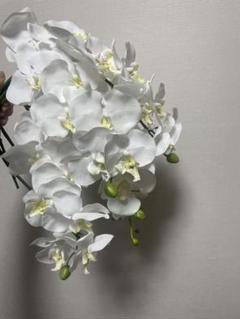 胡蝶蘭 造花