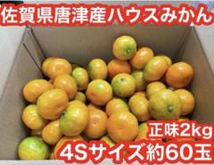 ⑵佐賀県唐津産 ハウスみかん 4Sサイズ約150玉 ➉佐賀県唐津産 ハウスみかん 4Sサイズ 約150玉 正味5kg - メルカリ