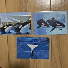 名古屋港水族館 シャチ ポストカード - メルカリ