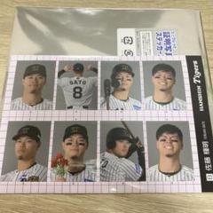 阪神タイガース　証明写真風ステッカー2025 佐藤輝明
