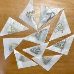 ★蝶　三角紙標本　200点現状品 ☆蝶 三角紙標本 200点現状品 昆虫用品