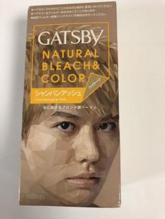 ギャツビー ナチュラルブリーチカラー シャンパンアッシュ 医薬部外品 マンダム 通常送料無料の中古 未使用品を探そう メルカリ