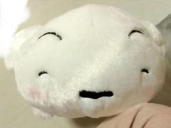 クレヨンしんちゃんでっかいぬいぐるみ 〜ほっこりするゾ〜シロ