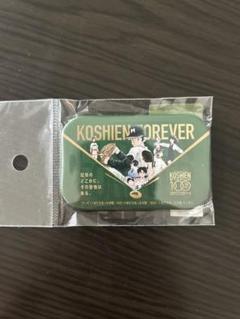 高校野球100周年記念缶バッジ タッチ
