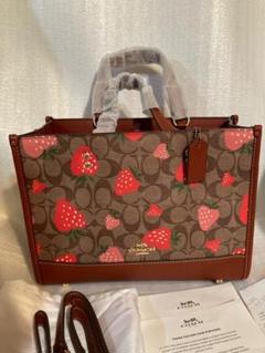 2025年最新】coach いちご バッグの人気アイテム - メルカリ