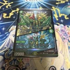地龍仙ロマネアース