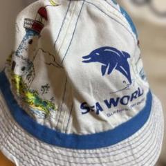 オーストラリアで購入したSEA WORLD バケットハット 灯台とイルカ