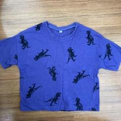 恐竜　半袖Tシャツ　110