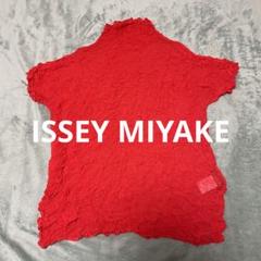 ISSEY MIYAKE イッセイミヤケ カシュクール シワ加工カットソー半袖 ISSEY MIYAKE イッセイミヤケ カシュクール シワ加工カットソー
