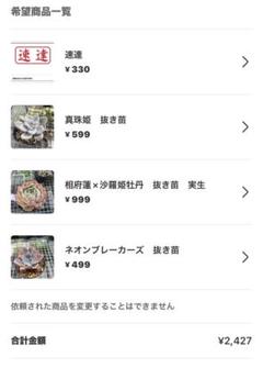 さんきち様 リクエスト 4点 まとめ商品 SACCHI様 リクエスト 4点 まとめ商品 - メルカリ