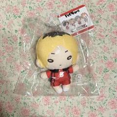 ハイキュー!! にとたん ぬいぐるみ 孤爪研磨
