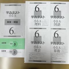 2025年最新】育伸社 学力テスト 小6の人気アイテム - メルカリ