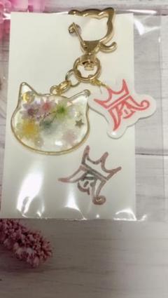 猫枠嵐キーホルダー