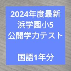 浜学園　小５　公開学力テスト　国語　９年分 浜学園 5年 公開学力テスト 国語 2020年の通販 by shop｜ラクマ