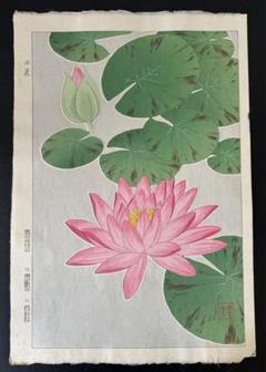 本物！河原崎奨堂　水蓮　木版画　新版画　花鳥画 本物！河原崎奨堂水蓮木版画新版画花鳥画