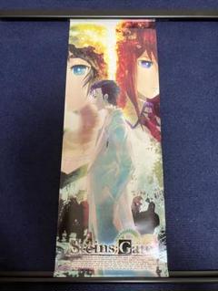 【非売品】シュタインズゲート 牧瀬紅莉栖 ロング サイズ メタル ポスター