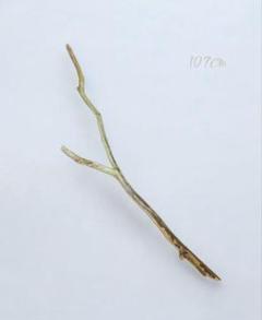 シンプルに美しい流木 107cmロング　硬質　植物　シャビー　ハンガー　雑貨