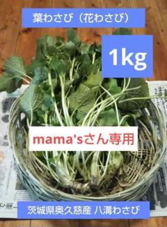 【別注品】わさび芋/太茎/花 セット 別注品】わさび芋/太茎/花 セット