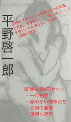 【文庫×4】平野啓一郎／①一月物語、②顔のない裸体、③文明の憂鬱、④透明な迷宮のサムネイル