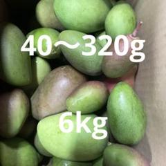 摘果マンゴー 40〜320g 6kg - メルカリ