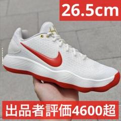 Hyper Dunk 2017 low ハイパーダンク　日本国旗カラー　赤白