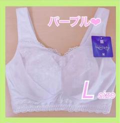 ワコール ナイトアップブラ レーシィタイプ Lサイズ パープル(PU)