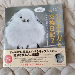 シマエナガと交換日記2 かわいいおこちゃまも仲間入りです