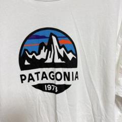 【人気】USA製 patagonia フィッツロイ オーガニック Tシャツ