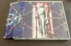Kresh end / Phalaenopsis V系