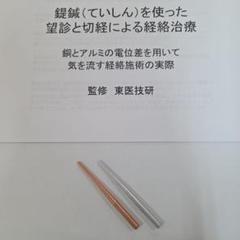 ダイオードてい鍼（1品限り！）　完全版解説付 ダイオードてい鍼（1品限り！） 完全版解説付 怖かっ - 衛生日用品