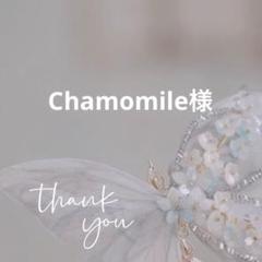 専用
